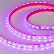 Лента RTW 2-5000PS-50m 24V RGB 2x (5060, 60 LED/m, LUX) (Arlight, 14.4 Вт/м, IP67) 024587