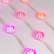 Модуль управляемый SPI-F7-D50 24V RGB-RAM-Auto (1.25W, IP68, 120 deg) (Arlight, Пластик, 3 года) 036826