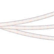 Лента герметичная RTW-PSW-A308-12mm 24V White6000 (14 W/m, IP67, 2835, 5m) (Arlight, 5 лет) 045292