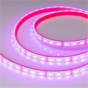 Лента герметичная RTW-PFS-B60-13mm 12V RGB (14.4 W/m, IP68, 5060, 5m) (Arlight, -) 033790