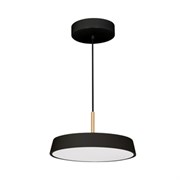 Светильник SP-ELEGANT-R300-17W Warm3000 (BK, 120 deg, 230V) (Arlight, IP20 Металл, 3 года) 033921(1)