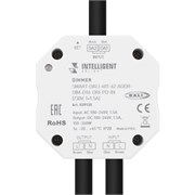 INTELLIGENT ARLIGHT Диммер SMART-DALI-601-62-ADDR-DIM-DT6-DRI-PD-IN (230V, 1x1.5A) (IARL, IP20 Пластик, 5 лет) 039135