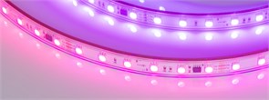 Лента герметичная SPI-PS-B60-12mm 24V RGB-PX6-BPT (12 W/m, IP67, 5060, 5m) (Arlight, бегущий огонь) 039181
