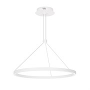 Светильник SP-CONGO-CAN-1-R600-36W Day4000 (WH, 120 deg, 230V) (Arlight, IP20 Металл, 5 лет) 046230