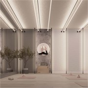 Крепление STINGRAY-R-BLACK (Arlight, Металл) 041989