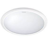 318163 LED CEILING, IP20, 6500K, 20 Вт, белый D380x60 (круглый, накладной) - св-к PHILIPS 318163166