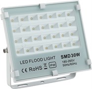 Светильник STR-FIRE REF 30W 4200K IP65 40*70гр 230V SMD 3300Лм PF?0.9 белый -  уличный светодиодный   FL-2000000294209