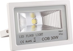 Светильник FL-STR FIRE PRO 30W 230V 4200K 40*70гр IP65 3200Лм PF?0.9 белый -  уличный светодиодный   FL-2000000294155