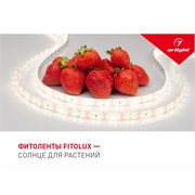 Буклет FITOLUX. 2022 (Arlight, -) 038910(22)