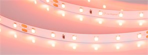 Лента RT-A60-8mm 24V Carrot (4.8 W/m, IP20, 5m) (Arlight, -) 055375