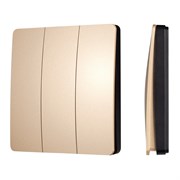 INTELLIGENT ARLIGHT Кнопочная панель KINETIC-801-22-3G-WP-SUF Gold (No battery, IP67, 433Mhz) (IARL, IP67 Пластик, 3 года) 051677-1