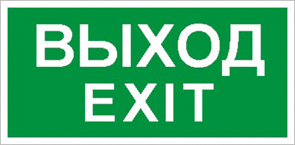 ПЭУ 011 «Выход/Exit» (240х125) PC-M /комплект, 2шт./ 2502000930