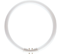 Лампа TL5 CIRCULAR SUPER 80 PRO 40W/ 830 2GX13  d16xD300  PHILIPS  - 927965583013