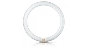 Лампа SYLVANIA FC 32/ 865 C T8 G10q 307mm 6500K - 0001965