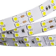 Лента RT 2-5000 36V White 2x2 (5060, 600 LED, LUX) 2000000245744