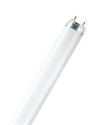 OSRAM-СМ L15W/ 865 LUMILUX G13 d26x  438  6500K - лампа OSRAM 4058075693159