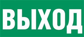 Пиктограмма "ВЫХОД" для светильника Pelastus PL EM 1.0 355х145мм 37845151651454