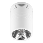 Светильник накладной светодиодный для акцентного освещения, спот неповоротный (ДПО) FERON AL518, 10W 29577