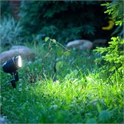 Светильник Тротуарный   светодиодный, на колышке (ДТУ) FERON SP2704, 3W, (RGB), 85-265V/50Гц, IP65, уг 32127