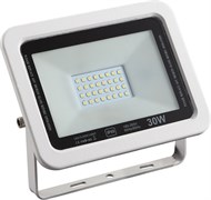 Светильник STR-FIRE ECO 30W  4200K IP65 110гр 230V SMD 3000Лм PF?0.9 Белый -  уличный светодиодный   FL-20000030008891