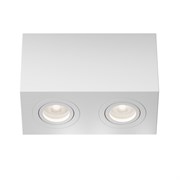 Потолочный светильник Atom GU10 2x50Вт C017CL-02W
