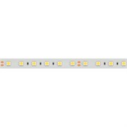 Лента герметичная RTW-PFS-B60-13mm 24V Day5000 (14.4 W/m, IP68, 5060, 5m) (Arlight, 14.4 Вт/м, IP68) 036462