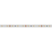 Лента RTW 2-5000SE 12V Warm (3528, 300 LED, LUX) (Arlight, 4.8 Вт/м, IP65) 014795