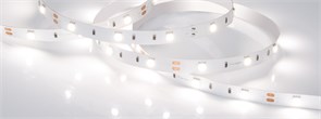 Лента RT 2-5000 12V Day4000 (5060, 150 LED, LUX) (Arlight, 7.2 Вт/м, IP20) 011570