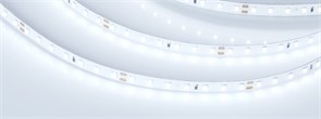 Лента RT-A98-8mm 24V Cool 8K (10 W/m, IP20, 2835, 5m) (Arlight, 10 Вт/м, IP20) 019912(2)