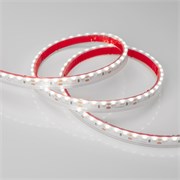 Лента RSW 2-5000P 12V White6000 2x (3014, 120 LED/m, LUX) (Arlight, 9.6 Вт/м, IP66) 027040