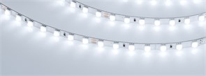 Лента FLT-B70-8mm 24V White6000 (15.5 W/m, IP20, 45deg, 5m) (Arlight, Открытый) 043809