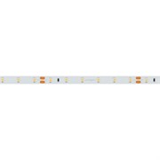 Светодиодная лента RT-A60-8mm 24V Warm3500 (4.8 W/m, IP20, 2835, 5m) (Arlight, Открытый) 034445
