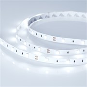 Лента RT 2-5000 12V Cool 8K (5060, 150 LED, LUX) (Arlight, 7.2 Вт/м, IP20) 016890-1