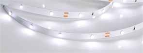 Лента RT 2-5000 24V White6000 0.5x (3528, 150 LED, LUX) (Arlight, 2.9 Вт/м, IP20) 019917(B)