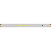 Лента IC 2-50000 48V Cool 8K 12mm (2835, 144 LED/m, LUX) (Arlight, 5.8 Вт/м, IP20) 026980