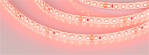 Лента герметичная RTW-SE-A120-8mm 24V Red (9.6 W/m, IP65, 2835, 5m) (Arlight, -) 015067(2)