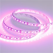 Лента RT 2-5000 12V Pink 2X (3528, 600 LED, LUX) (Arlight, 9.6 Вт/м, IP20) 015897