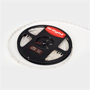 Лента RT 2-5000 24V White6000 1.6x (2835, 490 LED, PRO) (Arlight, 10 Вт/м, IP20) 019913
