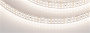 Светодиодная лента RT-A320-15mm 24V Day4000 (24 W/m, IP20, 2835, 5m) (Arlight, высок.эфф.150 лм/Вт) 032602(2)