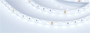 Лента RT 2-5000 24V Cool 8K 2x (5060, 300 LED, LUX) (Arlight, 14.4 Вт/м, IP20) 013757(1)
