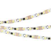 Лента SPI-5000-AM 12V Day4000 (5060, 60 LED/m, x3) (Arlight, Открытый, IP20) 027165