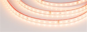 Лента герметичная RTW-PS-A80-10mm 24V Warm2700 (6 W/m, IP67, 2835, 5m) (Arlight, 6.8 Вт/м, IP67) 024520(2)