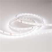 Лента IC 2-30000 24V Day5000 10mm (2835, 60 LED/m, LUX) (Arlight, 4.6 Вт/м, IP20) 027031