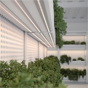 Лента FITOLUX-SE-A144-10mm 24V Day4000-Red (14 W/m, IP65, 2835, 5m) (Arlight, 14 Вт/м, IP65) 038170