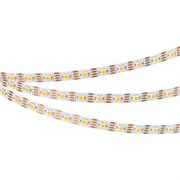 Лента SPI-B60-10mm 12V Warm3000-PX1-RAM (9.3 W/m, IP20, 5060, 5m) (Arlight, бегущий огонь) 037827