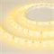 Лента RTW 2-5000SE 24V Yellow 2x (5060, 300 LED, LUX) (Arlight, 14.4 Вт/м, IP65) 017493-1 - фото 100028