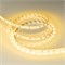 Лента RT-B60-10mm 24V Yellow (14.4 W/m, IP20, 5060, 5m) (Arlight, 14.4 Вт/м, IP20) 008816(2) - фото 100140