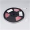 Лента герметичная RTW-PS-A160-10mm 24V Day5000 (12 W/m, IP67, 2835, 5m) (Arlight, 12 Вт/м, IP67) 024542(2) - фото 100219