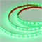 Лента герметичная RTW-PFS-B60-13mm 12V Green (14.4 W/m, IP68, 5060, 5m) (Arlight, 14.4 Вт/м, IP68) 036442 - фото 100406