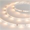 Лента RT 2-5000 24V Warm3000 0.5x (3528, 150 LED, LUX) (Arlight, 2.9 Вт/м, IP20) 024112 - фото 100461